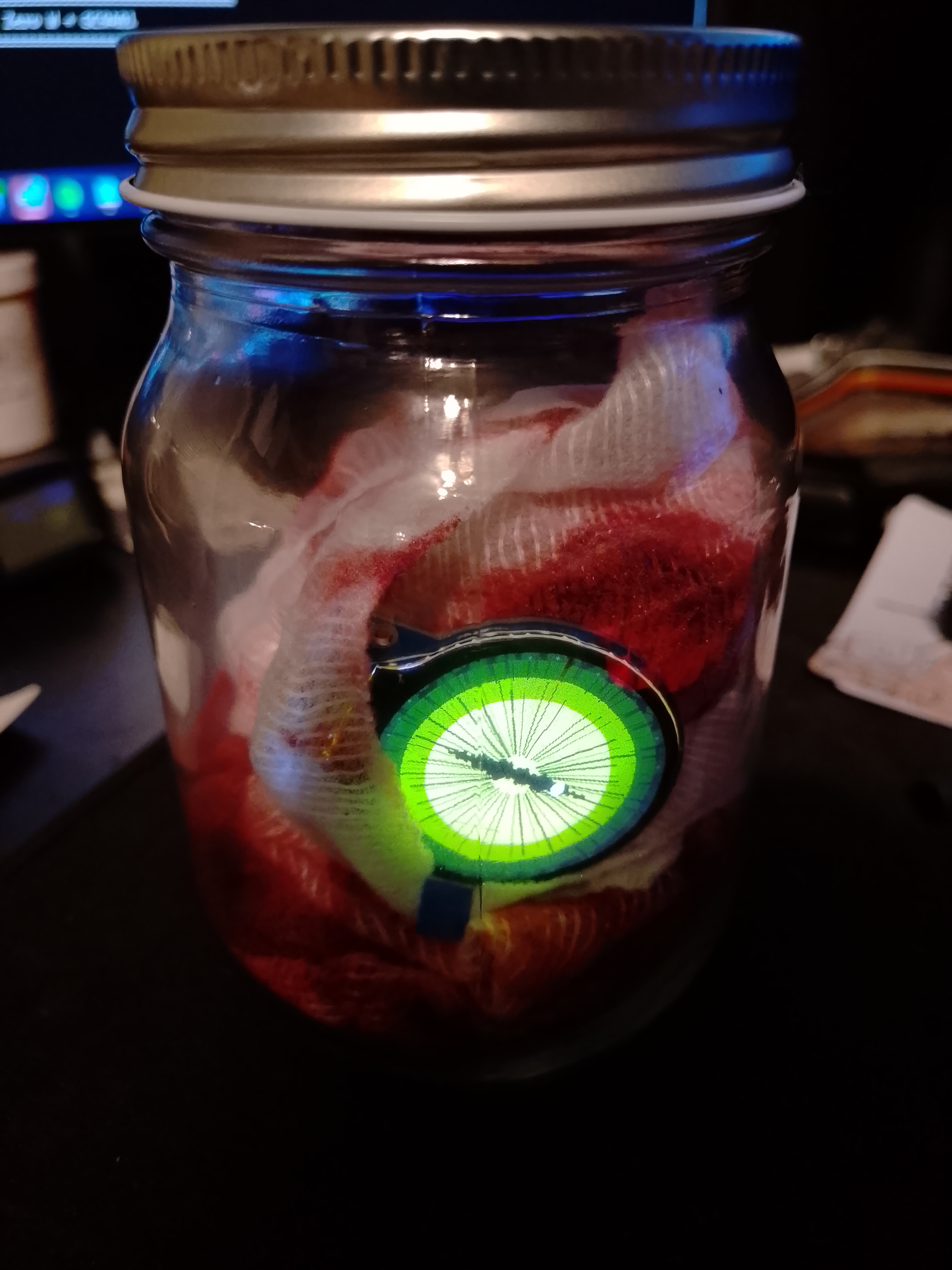 Green reptile iris in a jar