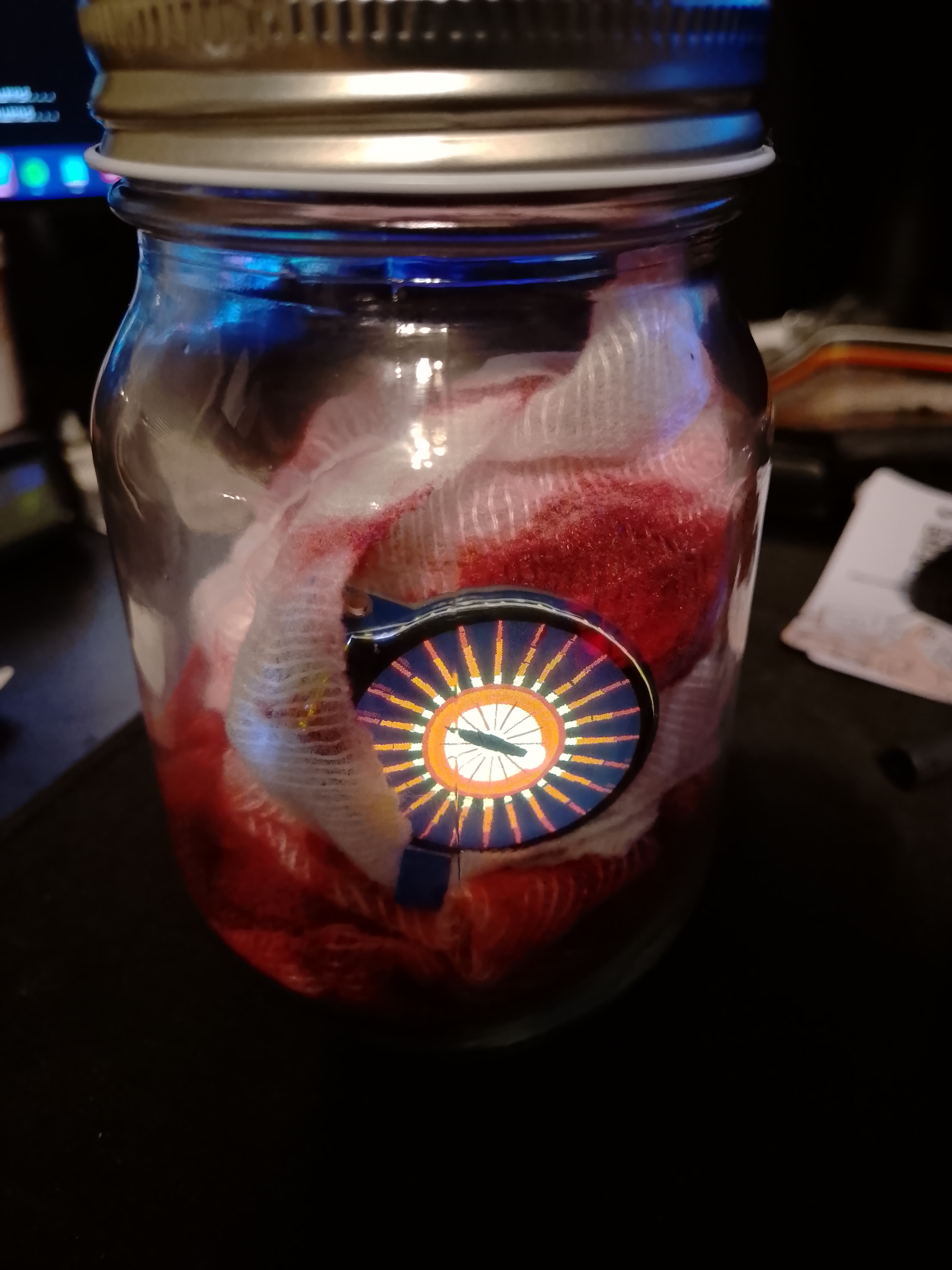 Fiery Eye of Sauron iris in a jar