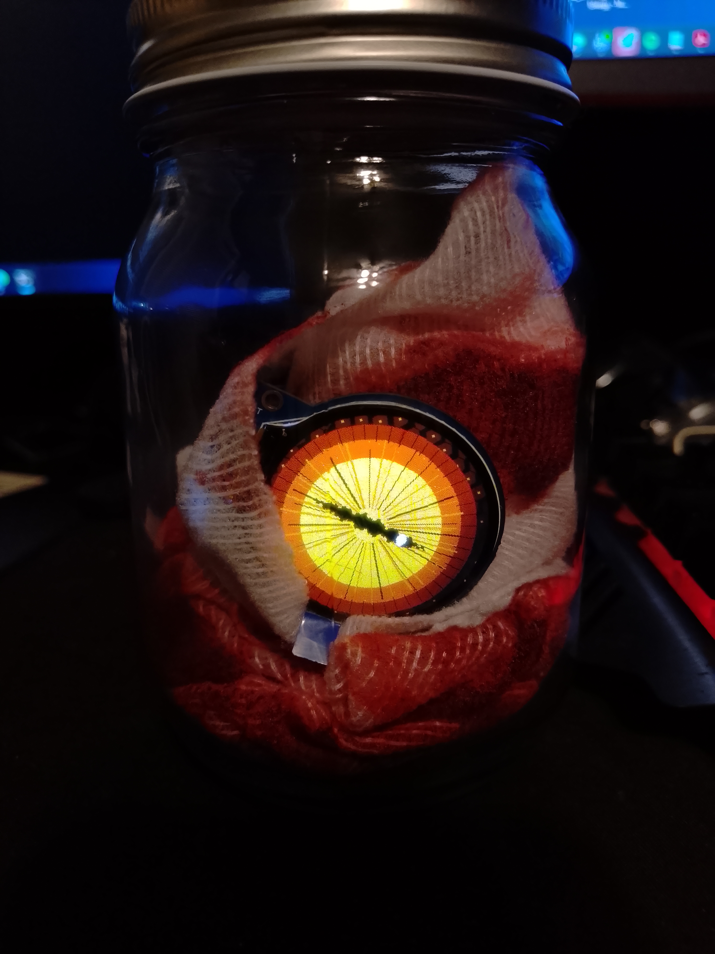 Orange flaming iris in a jar