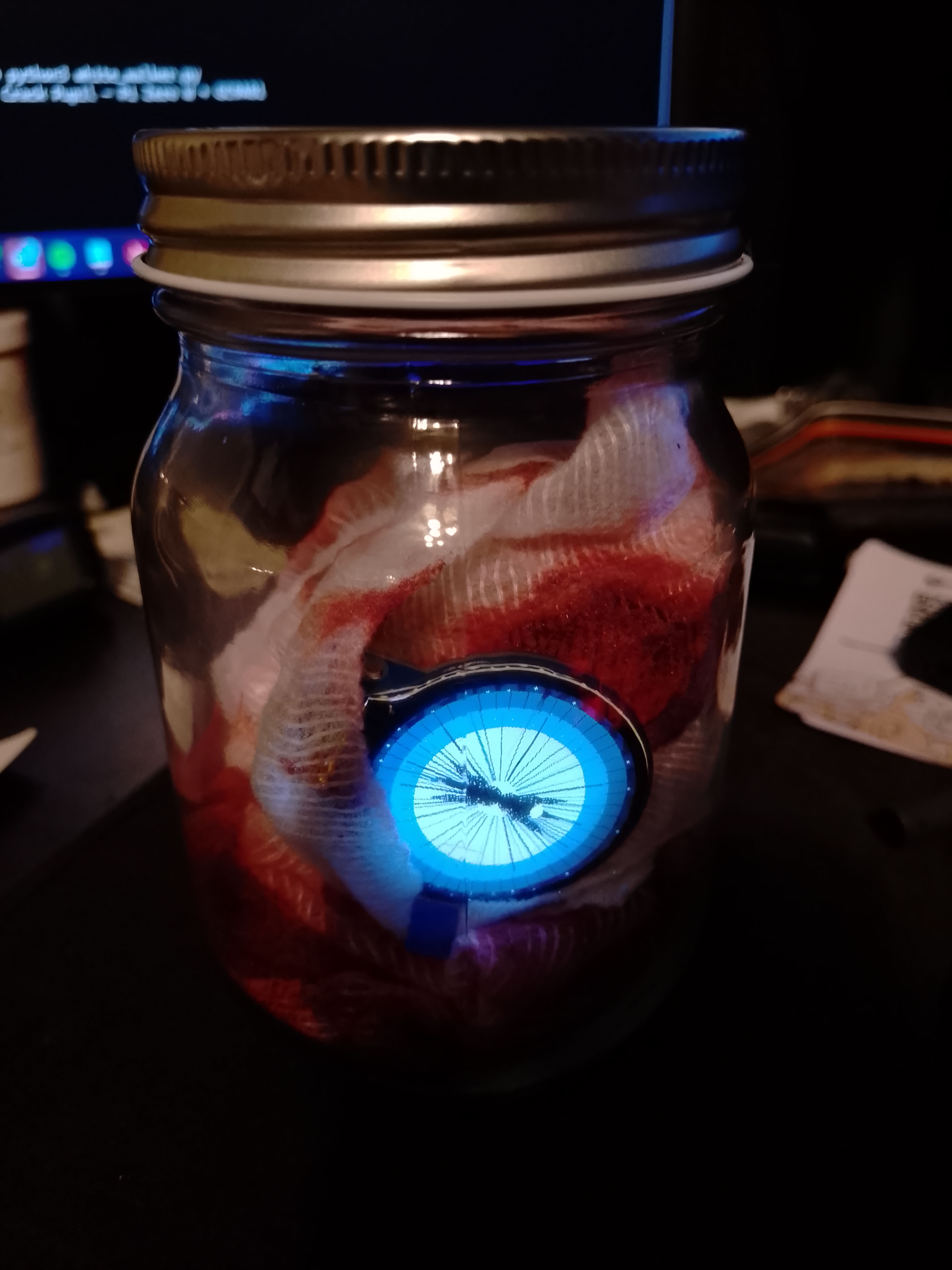 Blue white-walker style iris in a jar